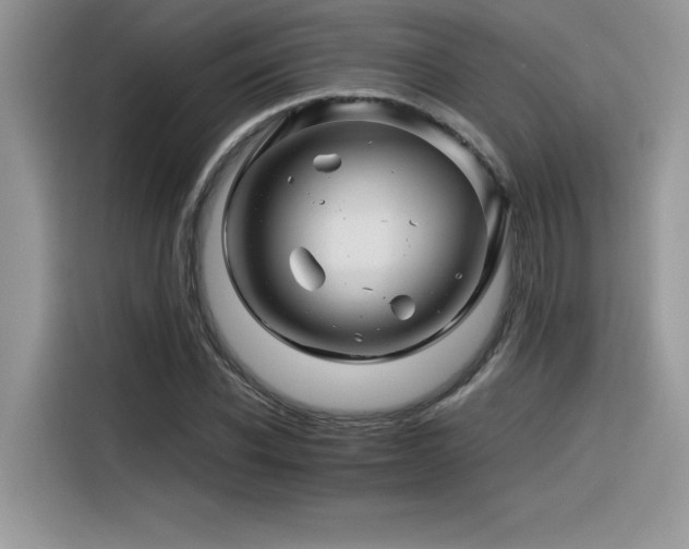 X0000116390926200912021537