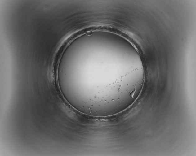 X0000116390927200912021537