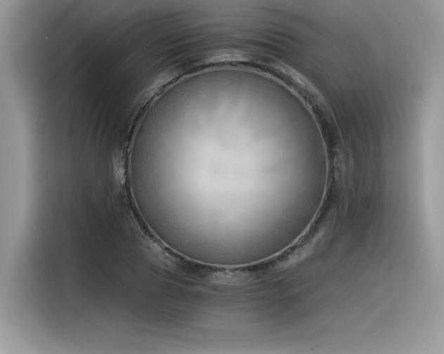 X0000116390929200912021537