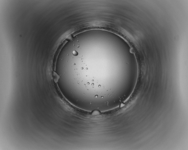 X0000116390930200912021537