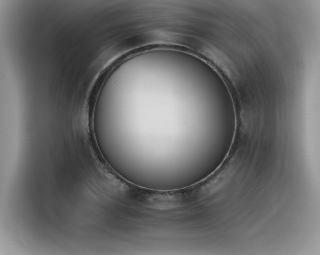 X0000116390931200912021537