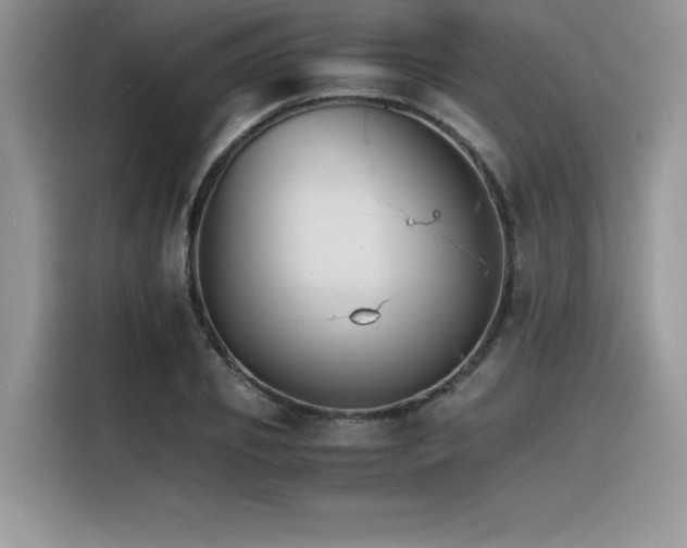 X0000116390933200912021537