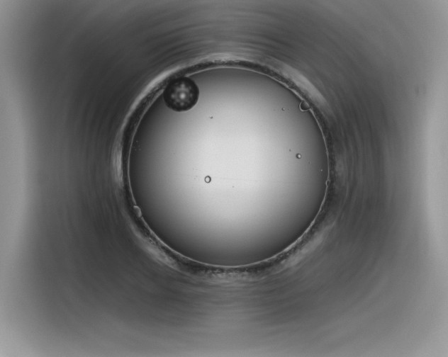 X0000116390934200912021537