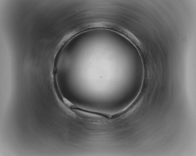 X0000116390938200912021537