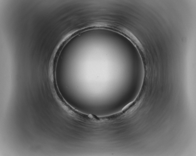 X0000116390939200912021537