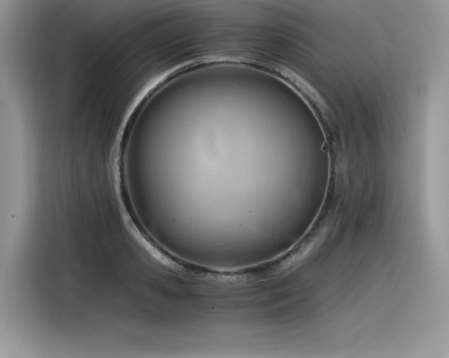 X0000116390941200912021537