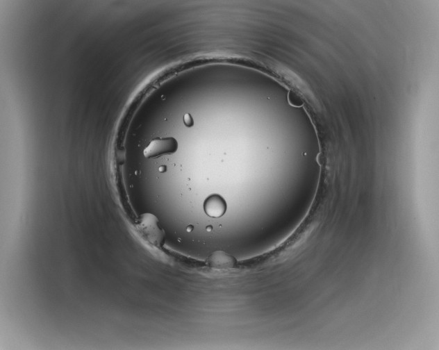 X0000116390942200912021537