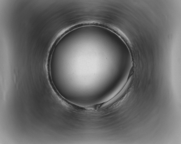 X0000116390943200912021537