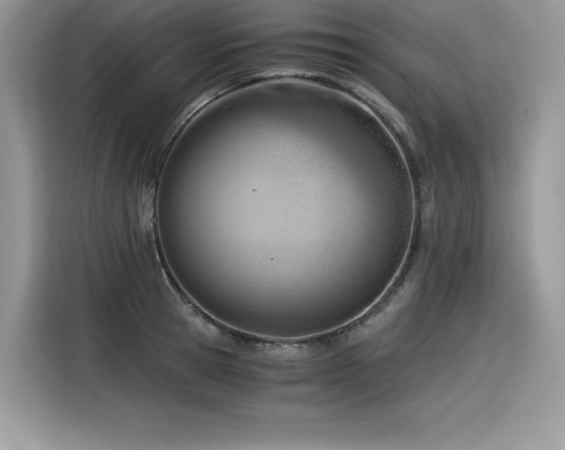 X0000116390945200912021537