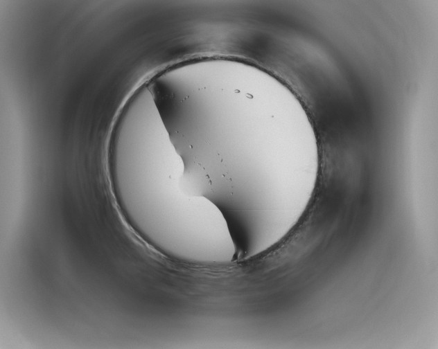 X0000116390950200912021537