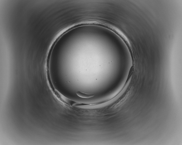 X0000116390951200912021537