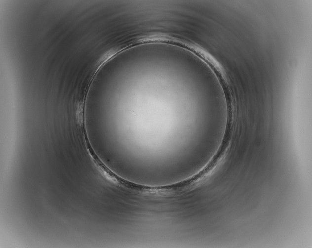 X0000116390953200912021537