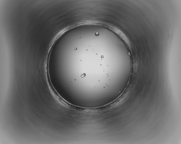 X0000116390954200912021537