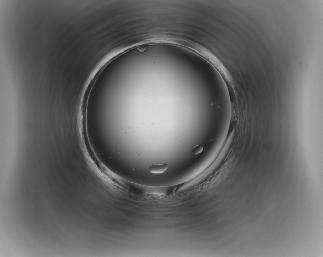 X0000116390955200912021537