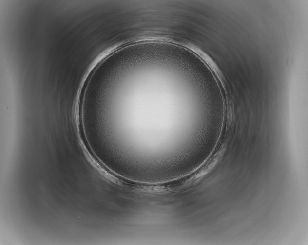 X0000116390957200912021537