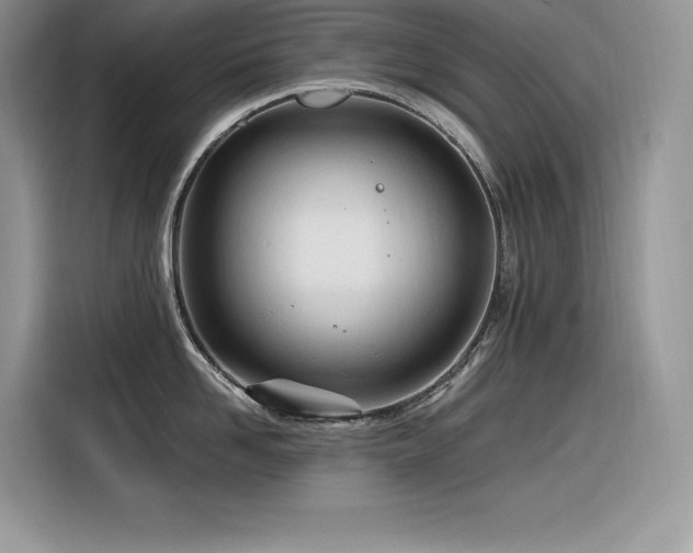 X0000116390958200912021537