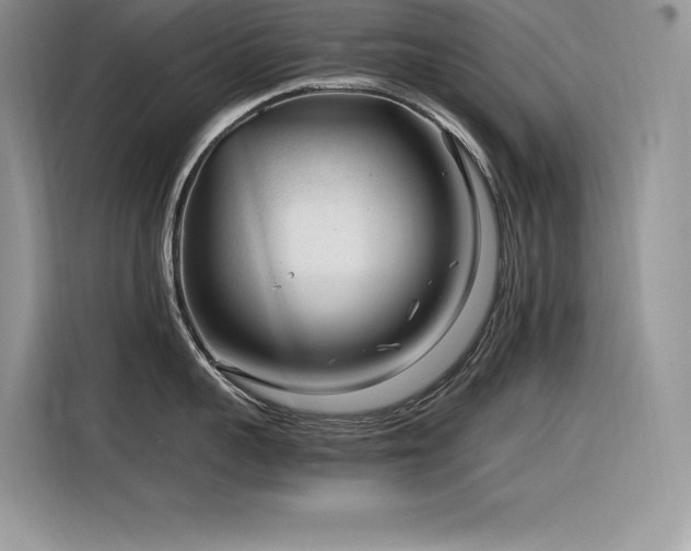 X0000116390959200912021537