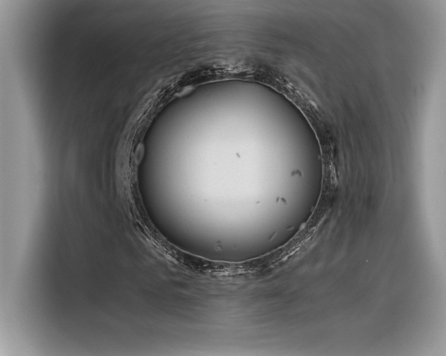 X0000116390961200912021536