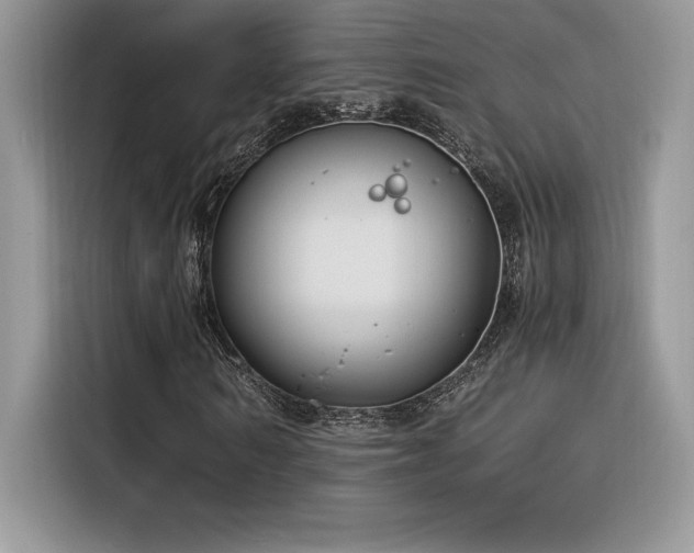 X0000116390962200912021536