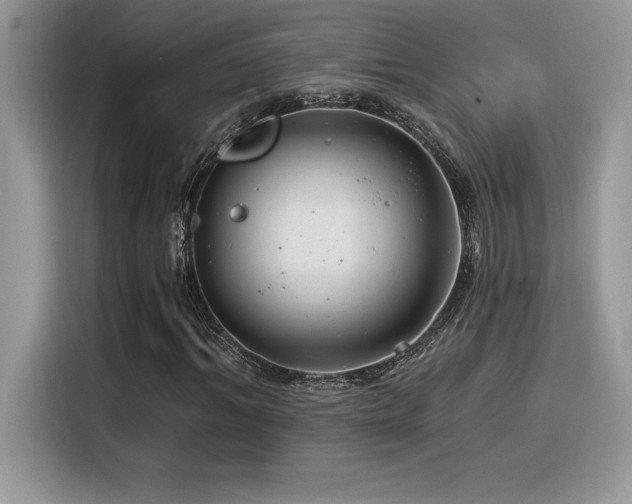 X0000116390964200912021536