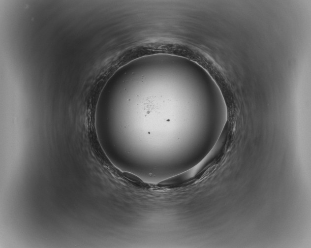X0000116390965200912021536