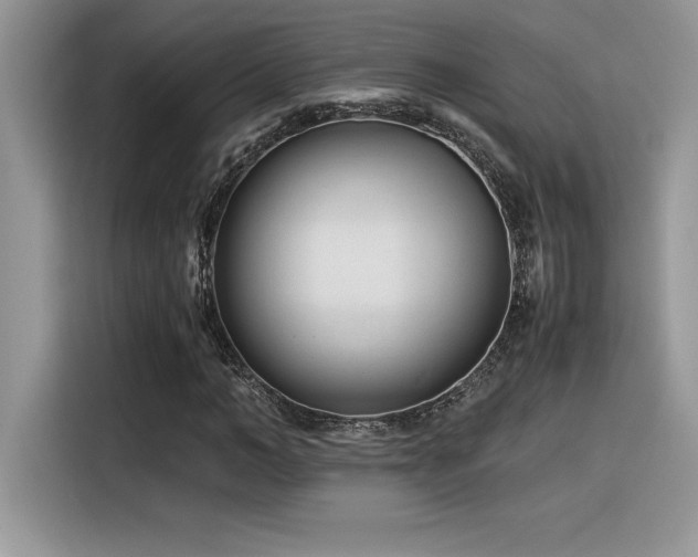 X0000116390966200912021536
