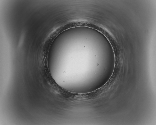 X0000116390967200912021536