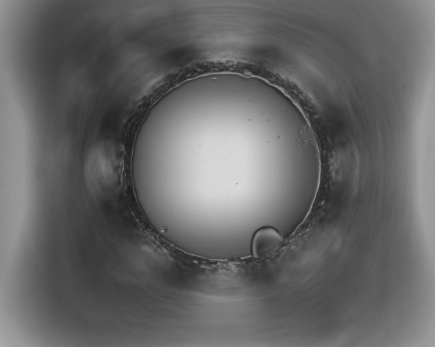 X0000116390968200912021536