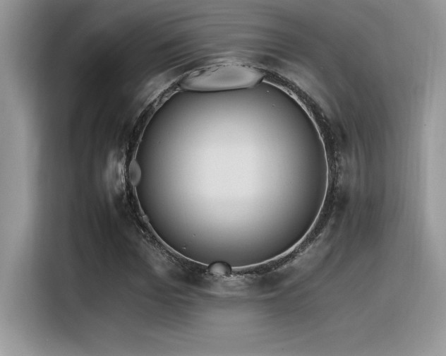 X0000116390969200912021536