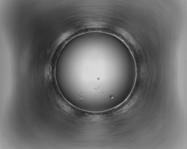 X0000116390970200912021536