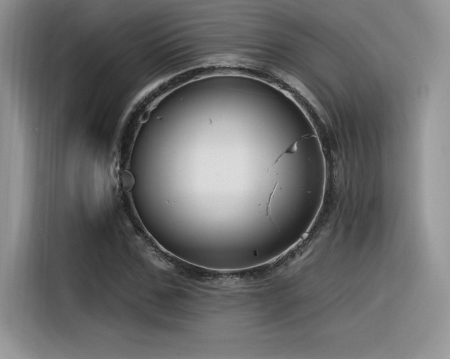 X0000116390971200912021536