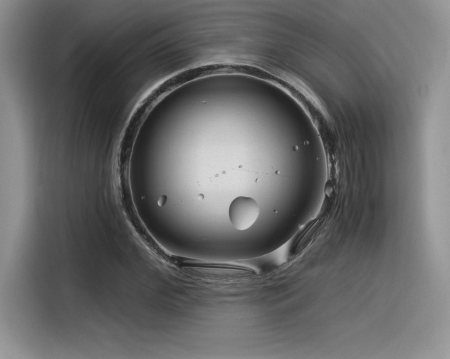 X0000116390972200912021536