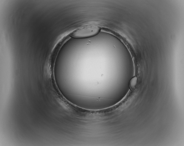 X0000116390973200912021536