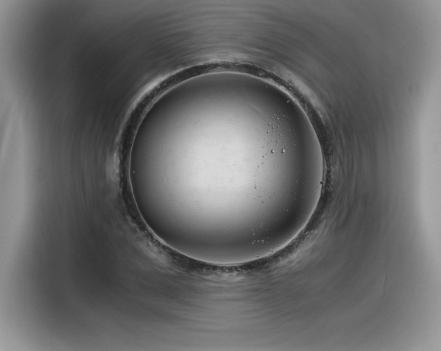 X0000116390975200912021536