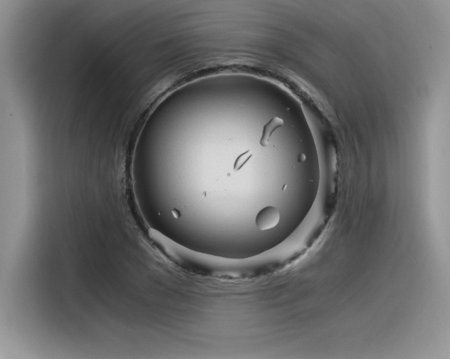X0000116390977200912021536