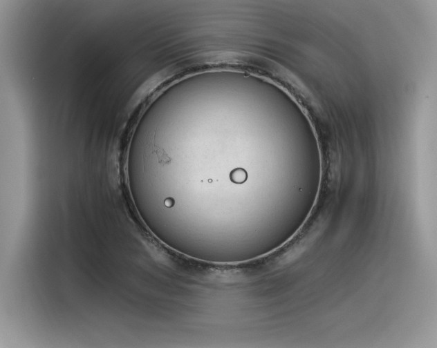 X0000116390978200912021536