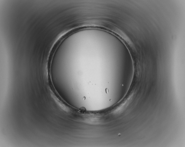 X0000116390980200912021536