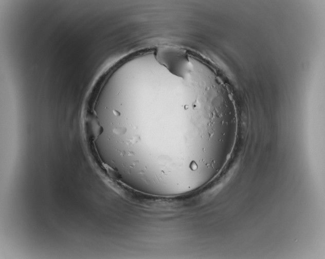 X0000116390981200912021536