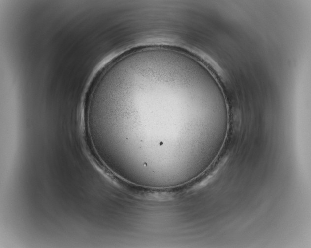 X0000116390982200912021536