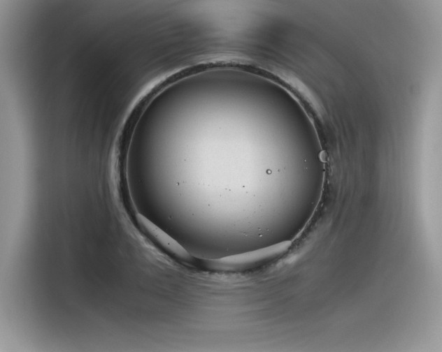 X0000116390983200912021536