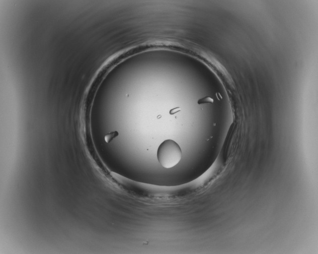 X0000116390984200912021536