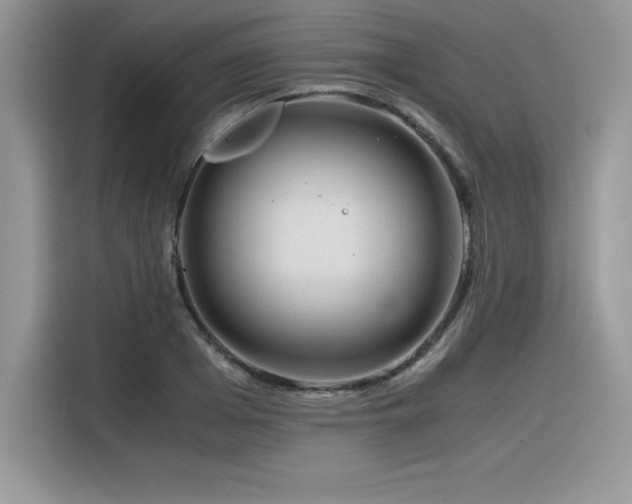 X0000116390985200912021536