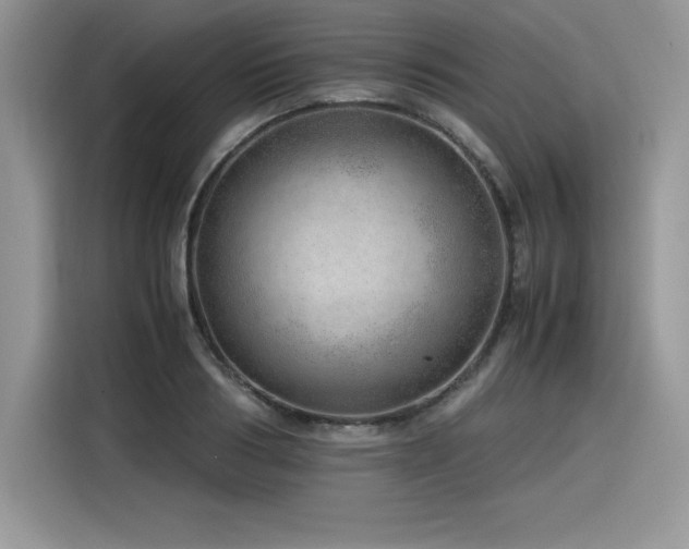 X0000116390986200912021536
