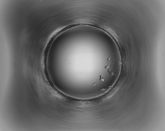X0000116390987200912021536