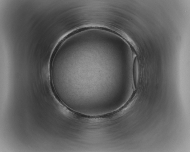 X0000116390988200912021536