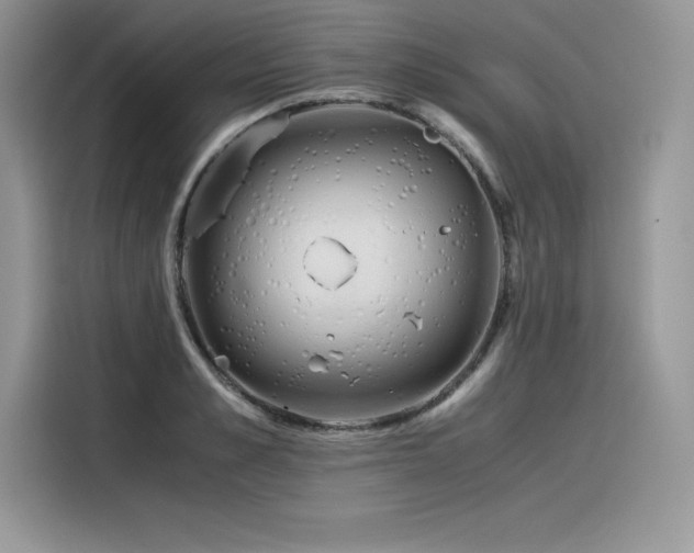X0000116390989200912021536