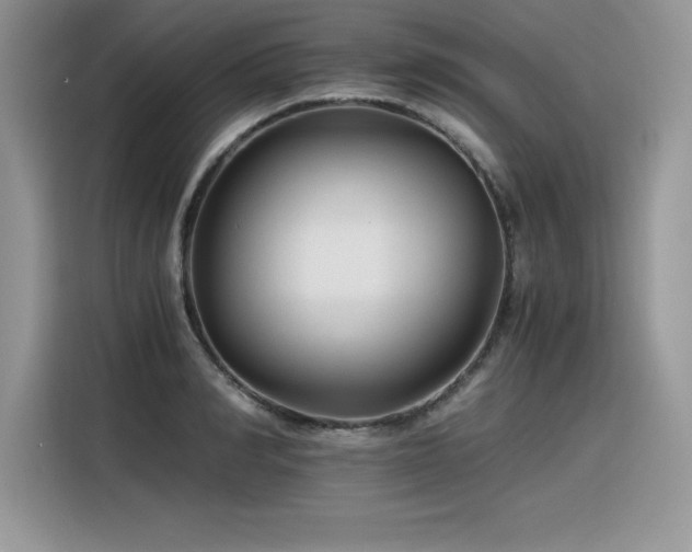 X0000116390990200912021536