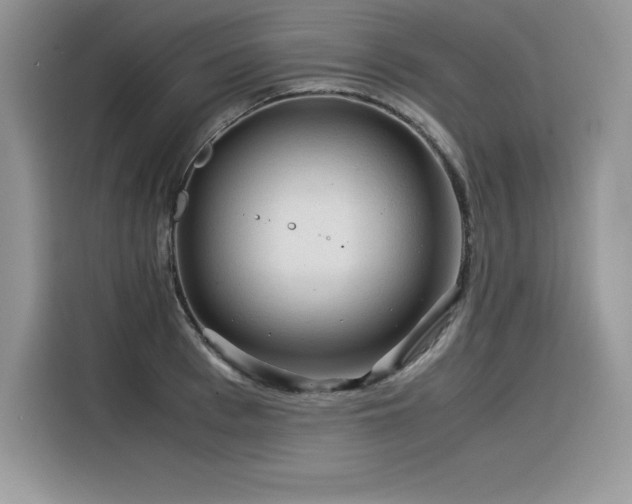 X0000116390993200912021536