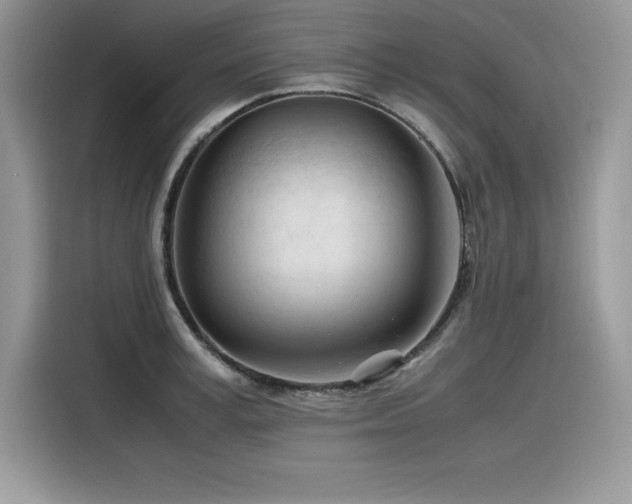 X0000116390995200912021536