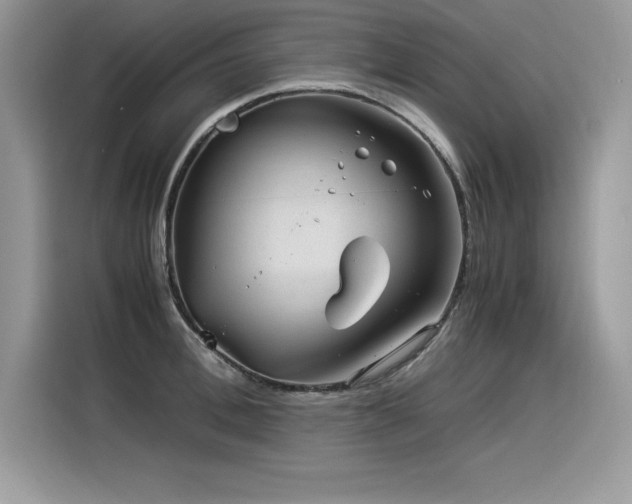X0000116390996200912021536